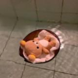 (Category: ) located in . Submitted by applepi5 (Listing ID 1376985496, Image 1). Description: .