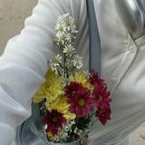 (Kategori: ) berada di . Dikirim oleh cacaprivoled (ID iklan 1384412394, Gambar 1). Deskripsi: .