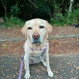 (Category: ) located in . Submitted by gj2024 (Listing ID 1455015321, Image 1). Description: .