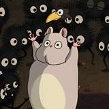 由 qqu_qqu (刊登 ID 1329003841，圖片 1) 提交，位於 的 (類別：)，說明：。