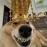 （分類：）位於 。 由 errrrrrrrrrrrrrrrrrrrrrrrr 提交（商品編號 1247101215，圖片 1）。簡介： 。