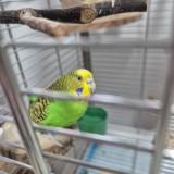 (Category: ) located in . Submitted by nanamimii (Listing ID 1304438729, Image 1). Description: .