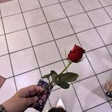 (Category: ) located in . Submitted by stnafiyy (Listing ID 1356371577, Image 1). Description: .