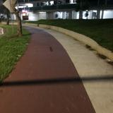(Category: ) located in . Submitted by aoli629 (Listing ID 1379155859, Image 1). Description: .