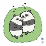 （分類：）位於 。 由 baby.boy. 提交（商品編號 1376312286，圖片 1）。簡介： 。