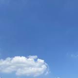 由 73277 (刊登 ID 1383312695，圖片 1) 提交，位於 的 (類別：)，說明：。