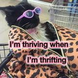 (Category: ) located in . Submitted by cilantr0 (Listing ID 1352313527, Image 1). Description: .