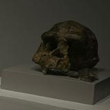 (Kategori: ) berada di . Dikirim oleh koalamarchhh (ID iklan 1371761575, Gambar 1). Deskripsi: .