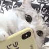 （分類：）位於 。 由 soras_ 提交（商品編號 1366287687，圖片 1）。簡介： 。
