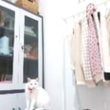 (Kategori: ) berada di . Dikirim oleh aruna_ (ID iklan 1332288678, Gambar 1). Deskripsi: .