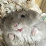 （分類：）位於 。 由 gnar000 提交（商品編號 1347632655，圖片 1）。簡介： 。