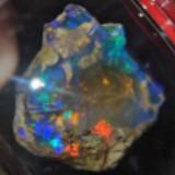 (Category: ) located in . Submitted by crystalsnclothes (Listing ID 1376850606, Image 1). Description: .