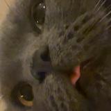 (Category: ) located in . Submitted by editorstudio (Listing ID 1346731078, Image 1). Description: .