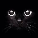 (Kategori: ) berada di . Dikirim oleh frzamalia20 (ID iklan 1347735859, Gambar 1). Deskripsi: .