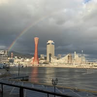 (分類:)位於 。 由 kingsleyskywalker 提交(商品編號 1449179001,圖片 1)。簡介: 。