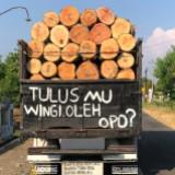 (Kategori: ) berada di . Dikirim oleh tunnelvision.id (ID iklan 1358163423, Gambar 1). Deskripsi: .