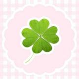 （分類：）位於 。 由 aaacilts 提交（商品編號 1379503038，圖片 1）。簡介： 。