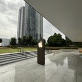 (Kategori: ) berada di . Dikirim oleh hoomeswares (ID iklan 1347493504, Gambar 1). Deskripsi: .