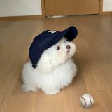 由 hoxiao (刊登 ID 1382453882，圖片 1) 提交，位於 的 (類別：)，說明：。