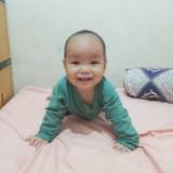 (Kategori: ) berada di . Dikirim oleh abdulmuhyi__ (ID iklan 1340889118, Gambar 1). Deskripsi: .