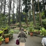 (Kategori: ) berada di . Dikirim oleh prelovednyana (ID iklan 1354054982, Gambar 1). Deskripsi: .