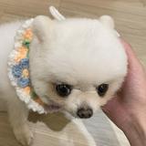 由 wenyh_ (刊登 ID 1346898364，圖片 1) 提交，位於 的 (類別：)，說明：。