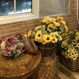 (Kategori: ) berada di . Dikirim oleh khoirunishambali (ID iklan 1348604761, Gambar 1). Deskripsi: .