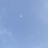 (Kategori: ) berada di . Dikirim oleh jualcepatmaupindah (ID iklan 1367228409, Gambar 1). Deskripsi: .