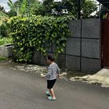 (Kategori: ) berada di . Dikirim oleh babybarra (ID iklan 1321376664, Gambar 1). Deskripsi: .