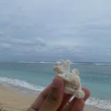 (Kategori: ) berada di . Dikirim oleh bythesea__ (ID iklan 1382438458, Gambar 1). Deskripsi: .
