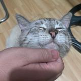 (Category: ) located in . Submitted by gooooodoffers (Listing ID 1384710980, Image 1). Description: .
