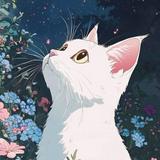 由 hichrislan (刊登 ID 1351353307，圖片 1) 提交，位於 的 (類別：)，說明：。