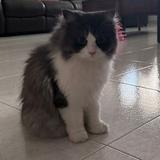 (Category: ) located in . Submitted by kaleyang2405 (Listing ID 1373655564, Image 1). Description: .