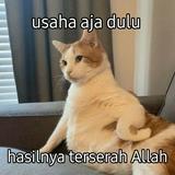 (Kategori: ) berada di . Dikirim oleh redvelvetzz (ID iklan 1383814885, Gambar 1). Deskripsi: .