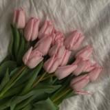 (Kategori: ) berada di . Dikirim oleh ssuptulip (ID iklan 1367009043, Gambar 1). Deskripsi: .
