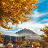 （分類：）位於 。 由 mounty_fuji 提交（商品編號 1348957348，圖片 1）。簡介： 。