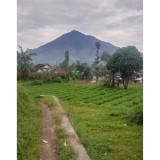 (Kategori: ) berada di . Dikirim oleh rahmabasuk79830 (ID iklan 1376940537, Gambar 1). Deskripsi: .