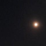 (Category: ) located in . Submitted by shsbshsb (Listing ID 1376072508, Image 1). Description: .