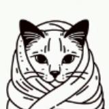 由 ysmhcat (刊登 ID 1377644737，圖片 1) 提交，位於 的 (類別：)，說明：。