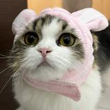 (Category: ) located in . Submitted by aggrocat (Listing ID 1313820032, Image 1). Description: .