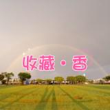 由 buybuysellsellbyebye (刊登 ID 1355154821，圖片 1) 提交，位於 的 (類別：)，說明：。