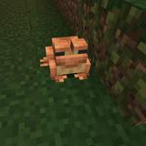 (Category: ) located in . Submitted by cookiepiemilotoast (Listing ID 1372589726, Image 1). Description: .