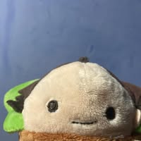由 harvey082076273 (刊登 ID 1386176656，圖片 1) 提交，位於 的 (類別：)，說明：。