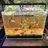 (Category: ) located in . Submitted by highballer94 (Listing ID 1377352753, Image 1). Description: .