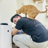 由 hmhmhmh1121 (刊登 ID 1383509535，圖片 1) 提交，位於 的 (類別：)，說明：。