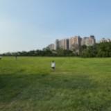 由 msliang0381695 (刊登 ID 1382392266，圖片 1) 提交，位於 的 (類別：)，說明：。