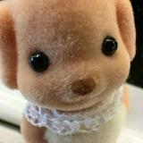 (Category: ) located in . Submitted by pngjiiuuu (Listing ID 1370655184, Image 1). Description: .