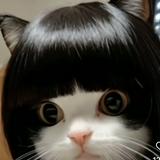 (Category: ) located in . Submitted by putricamelia (Listing ID 1384545269, Image 1). Description: .