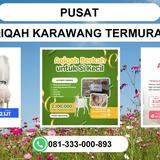 (Kategori: ) berada di . Dikirim oleh jasaaqiqahkarawang (ID iklan 1351346979, Gambar 1). Deskripsi: .