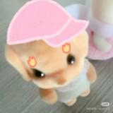 (Kategori: ) berada di . Dikirim oleh kkyhyun (ID iklan 1349734882, Gambar 1). Deskripsi: .
